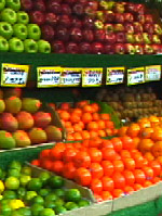 Joe's Saturation & Colorize