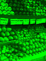 Joe's Saturation & Colorize