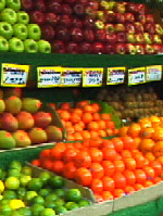 Joe's Saturation & Colorize