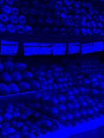 Joe's Saturation & Colorize