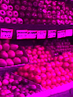 Joe's Saturation & Colorize