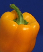 Channel Blur Original