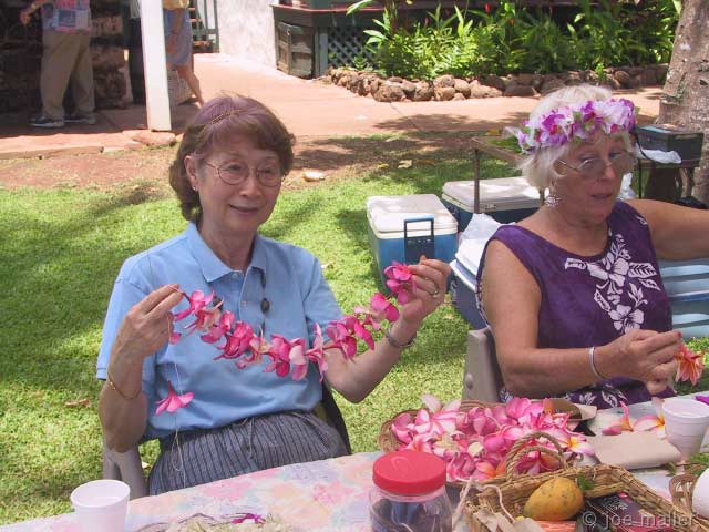 hawaii-07_2935.jpg