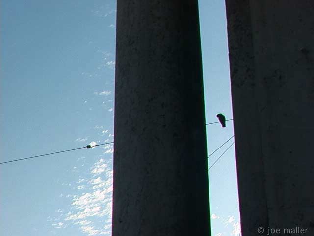 6-lisbon-325