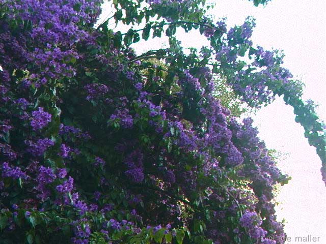 6-lisbon-330