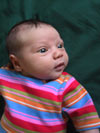 lila